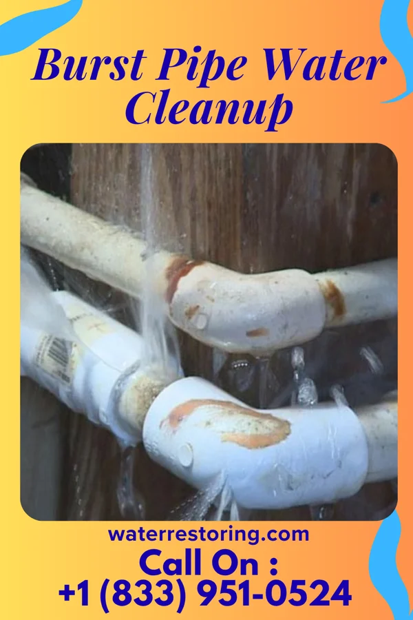 Burst Pipe Water Cleanup in North Corbin, KY